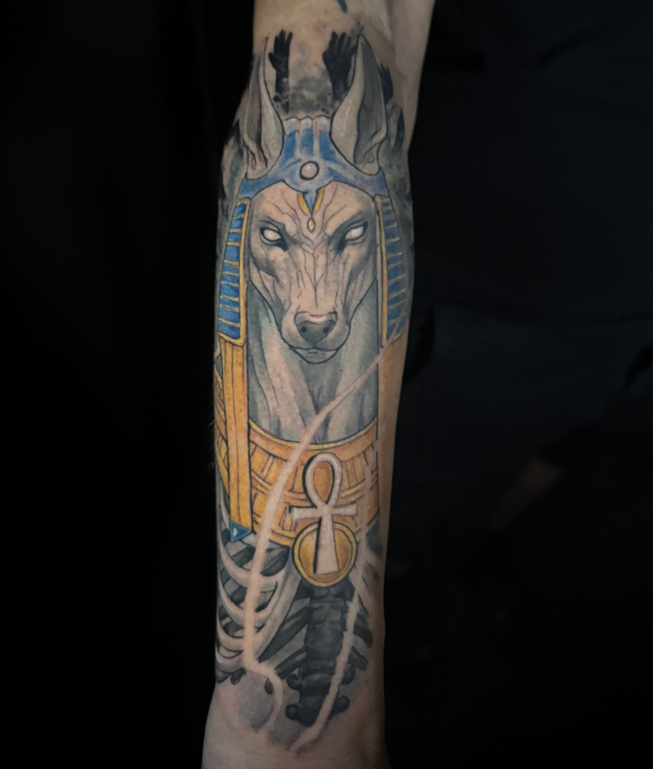 1e0f8320-47f4-4b56-84f4-49f1f77eb3bc