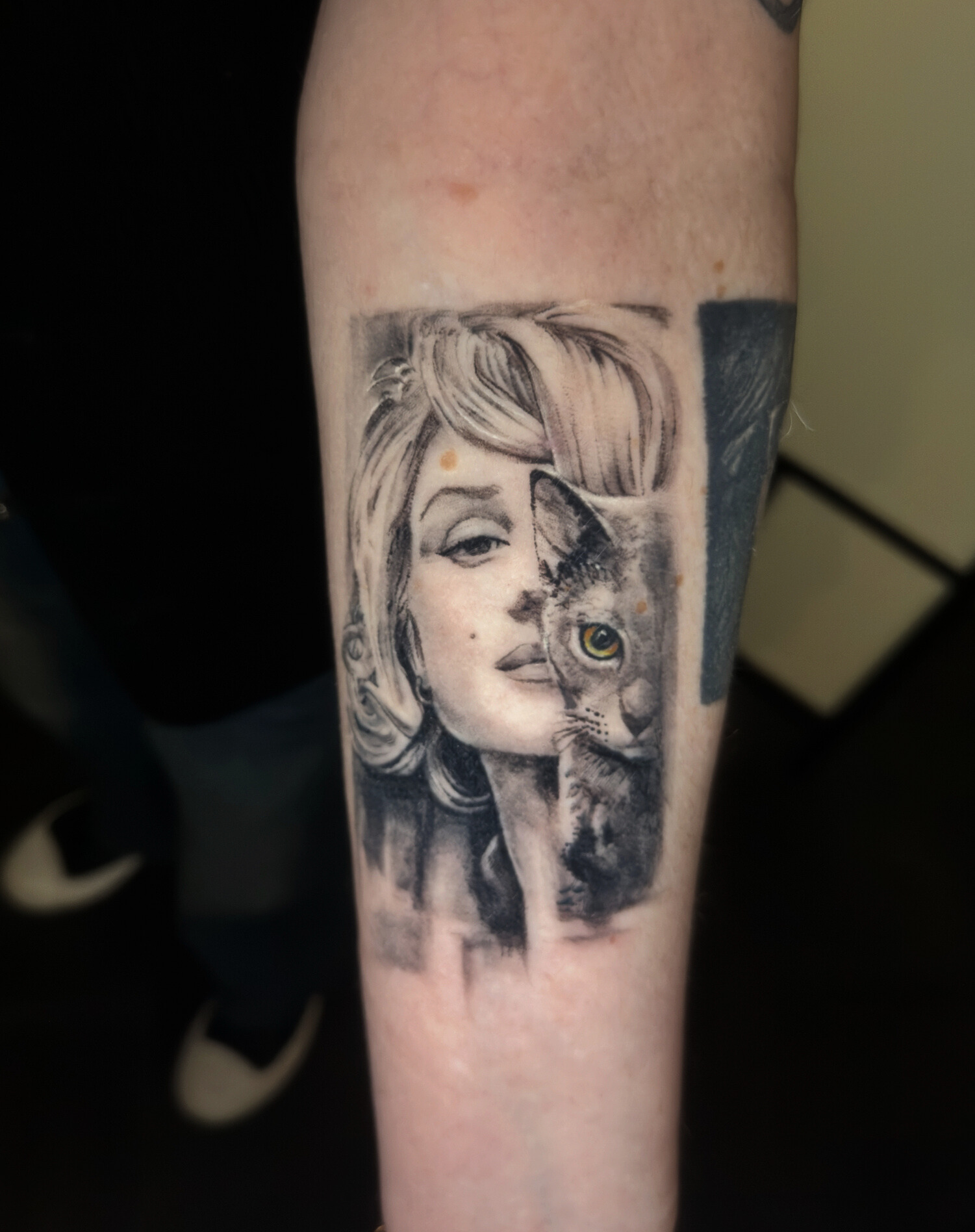 2d807dc3-b7c8-4a45-a9f7-1ec628d26af7