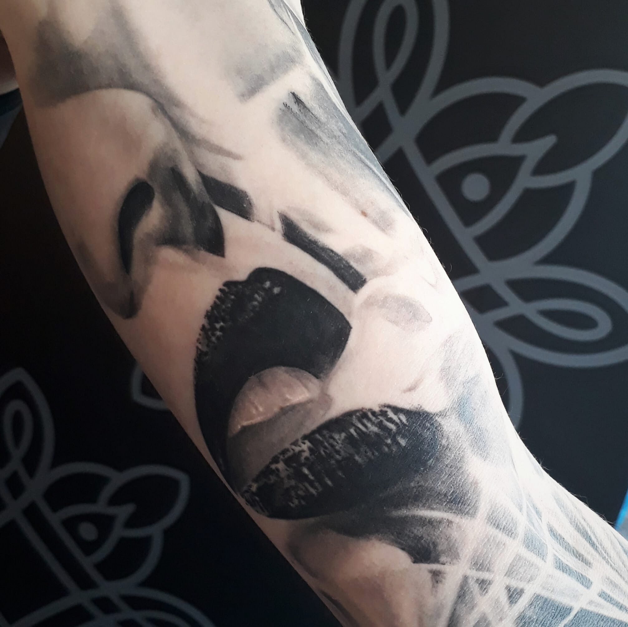 9ec984a6-aa6a-4eed-86d2-cf2f3182e1cf