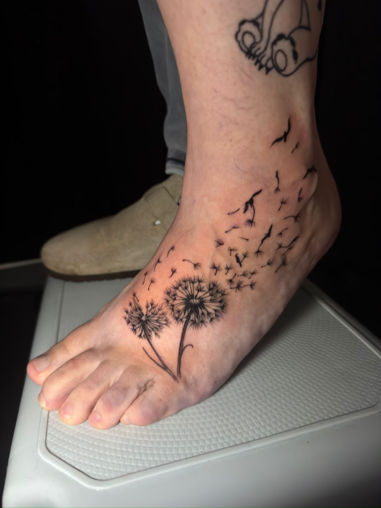 WhatsApp Image 2025-12-11 at 12.38.36